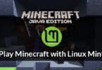 Play Minecraft with Linux Mint