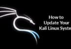 How to Update Your Kali Linux System