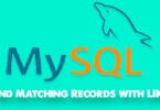 MYSQL Find Matching Records with LIKE