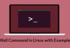 Wall Command in Linux with Examples